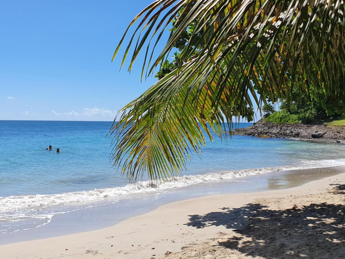 Ti Oasis Trinidad, Studio Vue Mer A Pierre & Vacances แซ็งต์-ลูซ ภายนอก รูปภาพ
