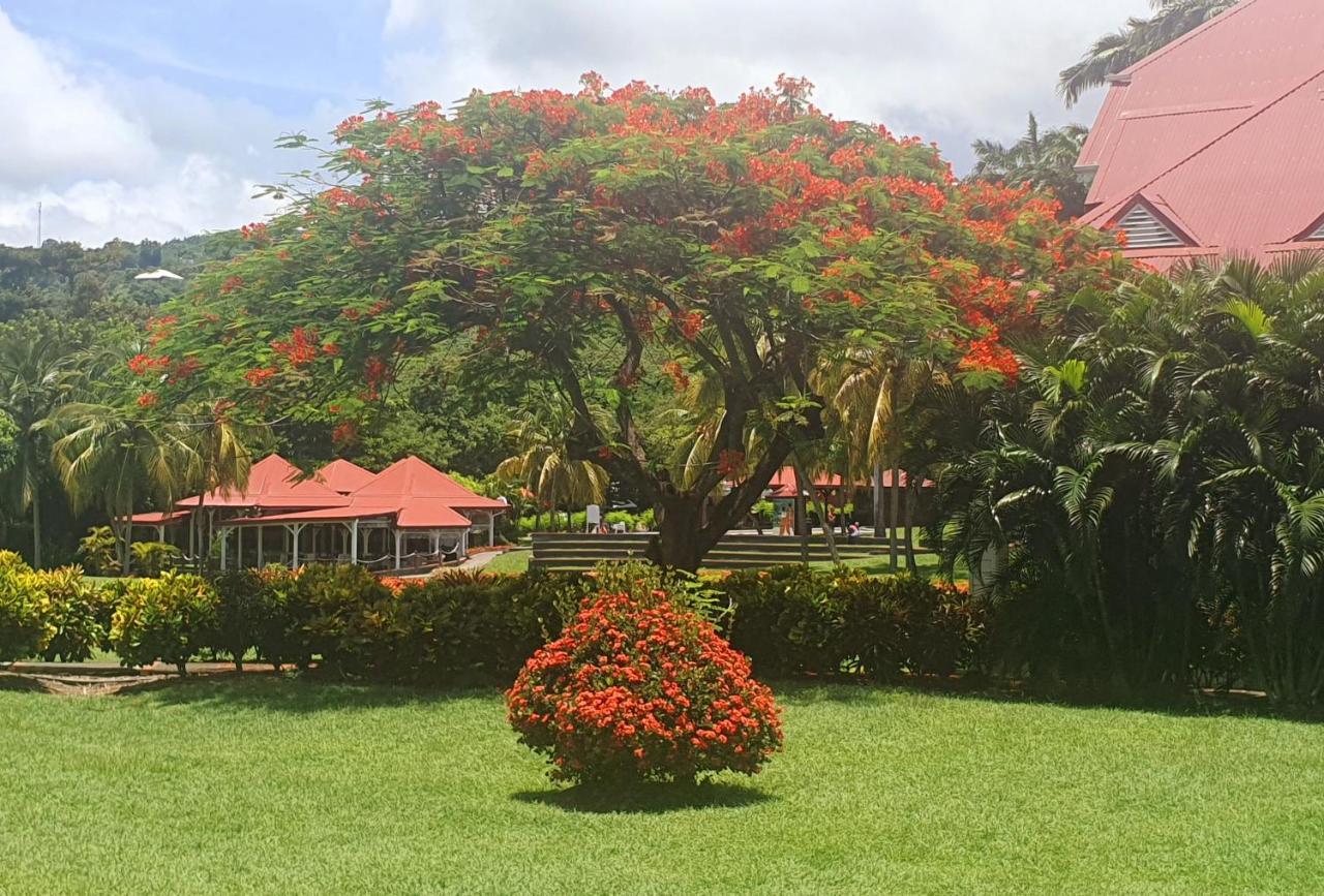 Ti Oasis Trinidad, Studio Vue Mer A Pierre & Vacances แซ็งต์-ลูซ ภายนอก รูปภาพ
